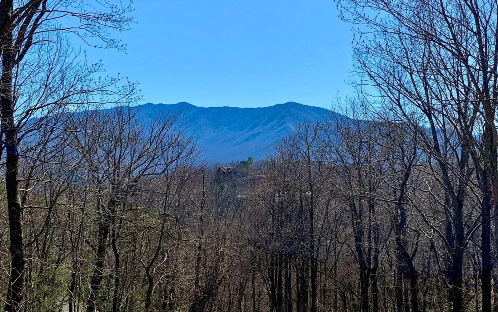 Grand Ole Chalet - Mt Viewsfireplacefirepitarcade Gatlinburg Ngoại thất bức ảnh