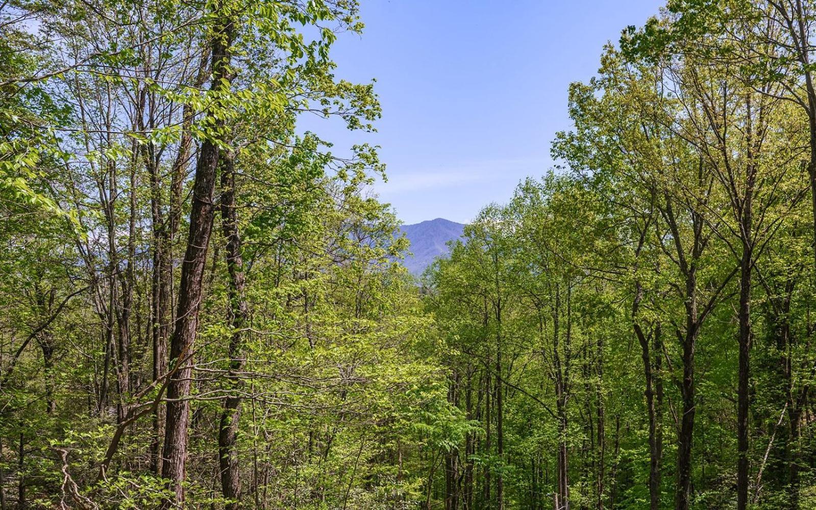 Grand Ole Chalet - Mt Viewsfireplacefirepitarcade Gatlinburg Ngoại thất bức ảnh